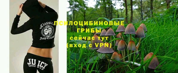 индика Заводоуковск