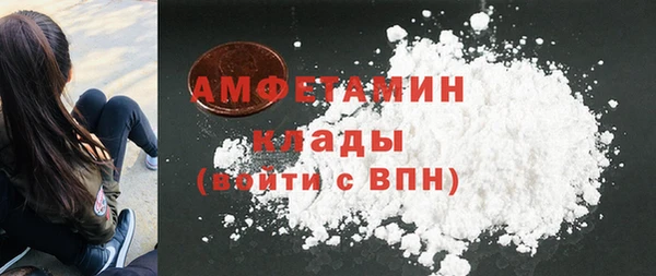 дживик Надым